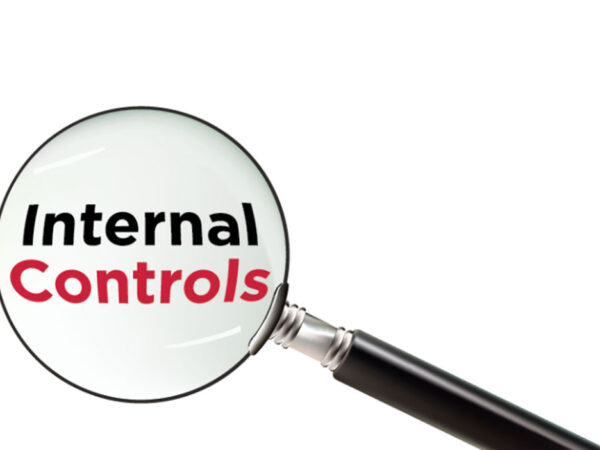 Internal Financial Controls : Demystified.
